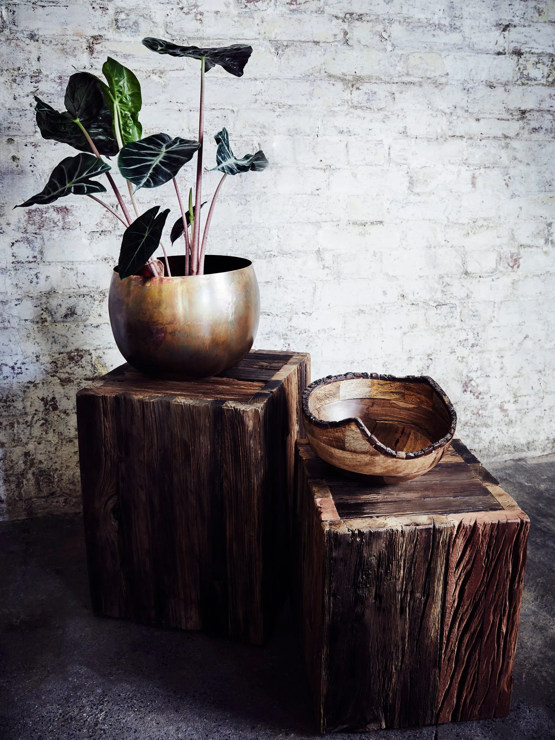 French Connection Home Accessories|Tableware-Dikita Mango Wood Bowl