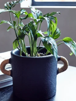 French Connection Home Accessories|Planters-Terracotta Plant Pot